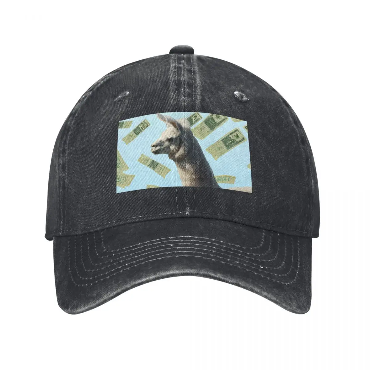 Raining Money on Llama Baseball Cap Luxury Brand Trucker Hat Vintage Baseball For Men Women's