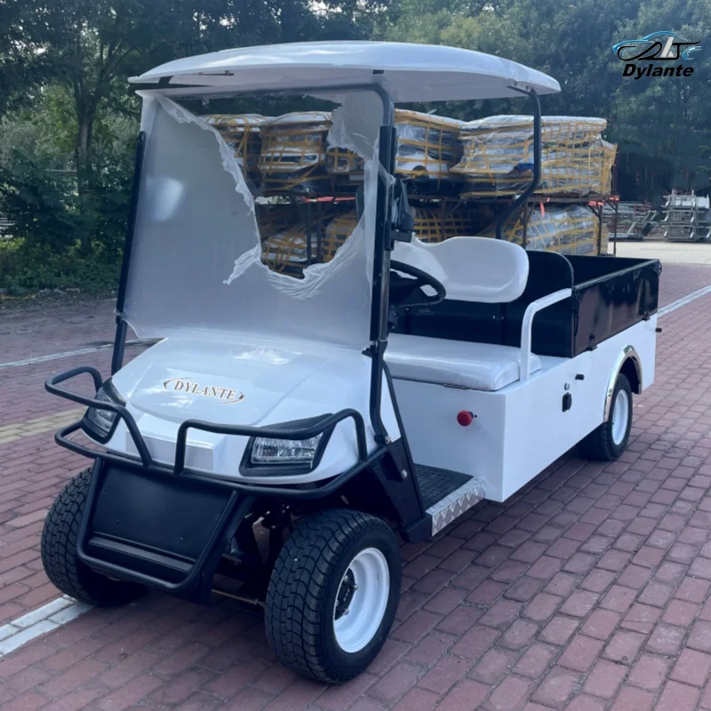 2024 Wholesale 350cc Petrol Engine Club Car Minibus Sightseeing Car For Sale Touring Adult Fuel Golf Cart With Cargo Box