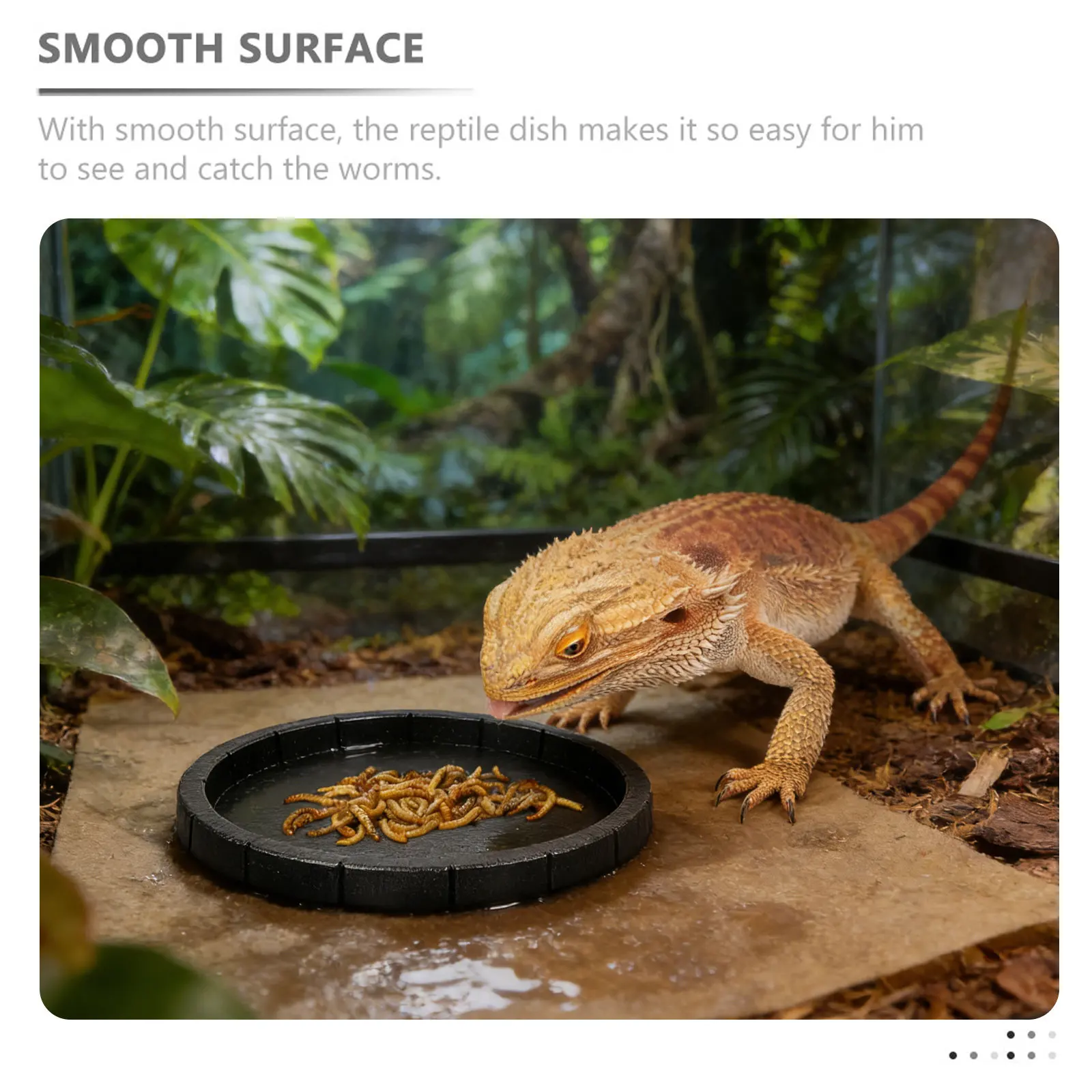 Plastic Reptile Food Water Bowl Sturdy Feeding Dish Smooth Surface Compact Suitable for Gecko Lizard Tortoise Reptile Feeding
