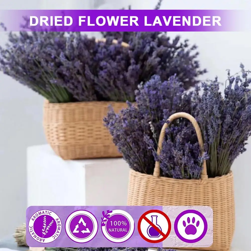 1 Box Natural Dried Lavender Sweet Scent No Watering Wedding Decor Bedside Better Sleeping Flower Arrangement Natural Plants