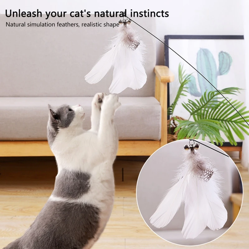 Interactive Cat Toy Funny Simulation Feather Bird with Suction Cup Cat Stick Toy for Kitten Playing Teaser Wand Toy Cat Supplies