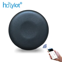 Holyiot-屋内ポジショニング用のBluetoothビーコンタグ、3軸マルチセンサー、5.0モジュール、ポジショニングビーコン、nrf52810