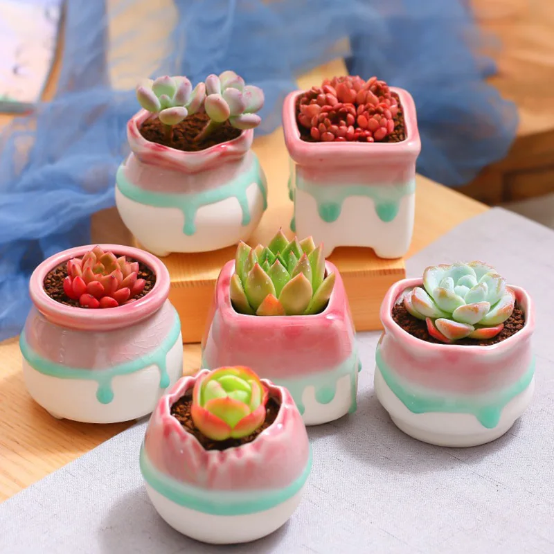 Crack Glaze Ceramic Succulent Pot Pastoral Style Simple Creative Candy Color Planter Delicate White Clay Flower Pot Decoration