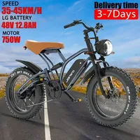 New Electric Bike X50 Fat Tire 20 Cal Mountain Motor Ebike750W48V12.8ah Battery Road Beach Bike Shipping from European warehouse
