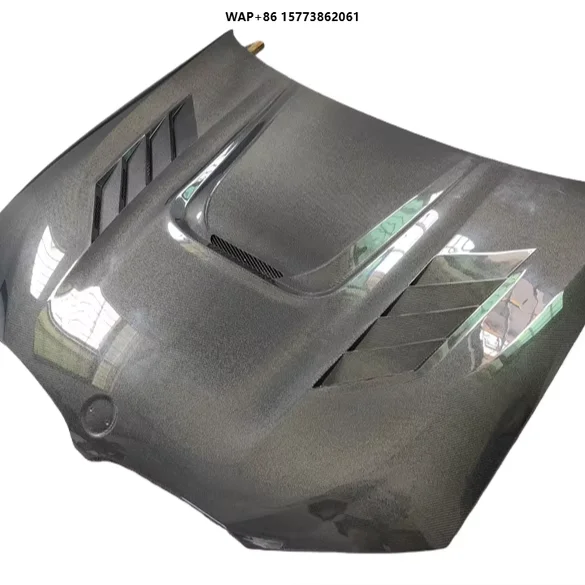 Dry Carbon Fiber Ae… - image