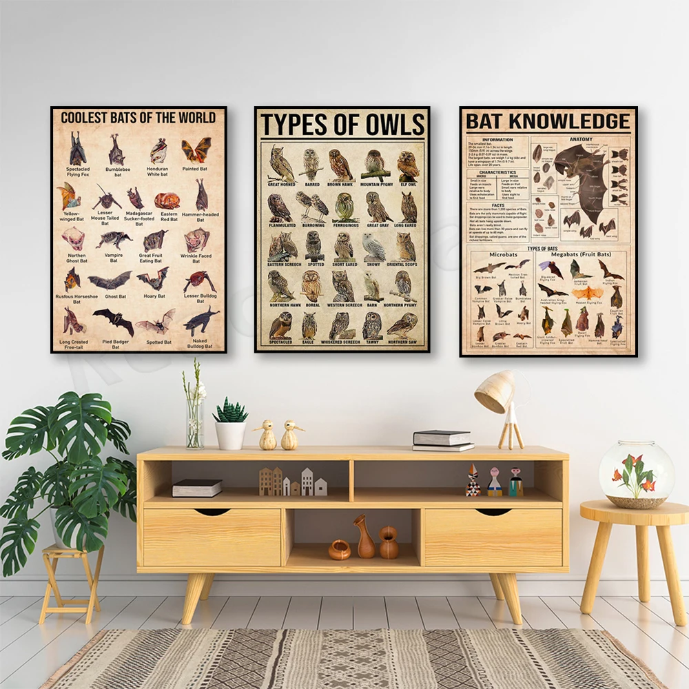 

owl types, barn owl knowledge poster, bat knowledge poster, typographic vampire bat poster, science gift, bat lover gift