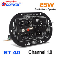 Woopker Digital Bluetooth Stereo Amplifier Board Subwoofer Dual Microphone Karaoke for 8-10 Inch Speaker 110V 220V 12V 24V