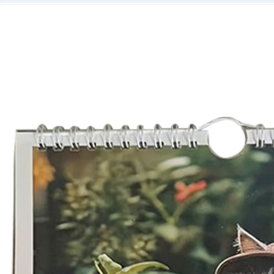

2026 Cat Calendar Kitten Wall Calendar Funny Monthly Planner Cat Art Schedule Home School Office to Organize Daily Life