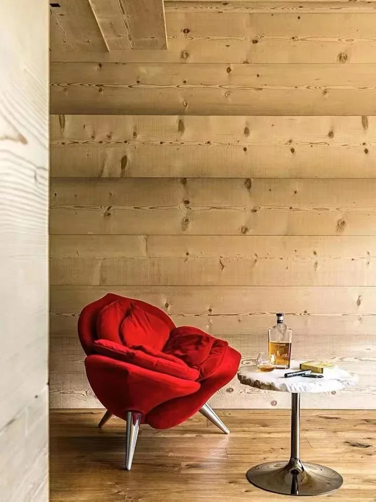 كرسي أريكة عصري بسيط فاخر كرسي فردي إبداعي لمشاهير الإنترنت #5