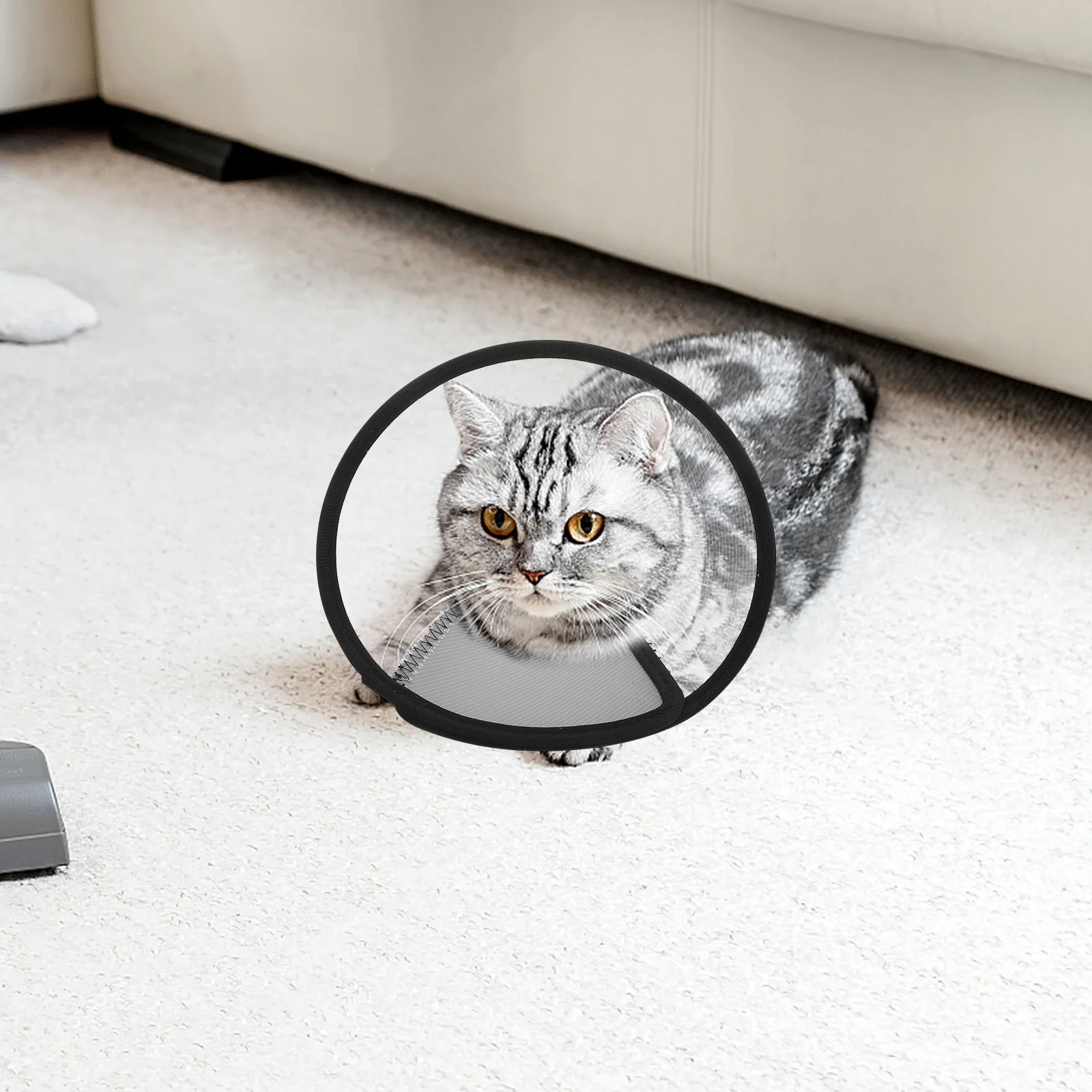 

4Pcs Pet Protective Collar Plastic Elizabethan Recovery Cone Widened Thickened Neck Cover for Cats Dogs Kitten Wound Healing