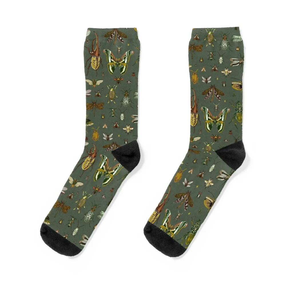 

Insect Miscellany Socks Crossfit new in's cartoon Socks Men Women's