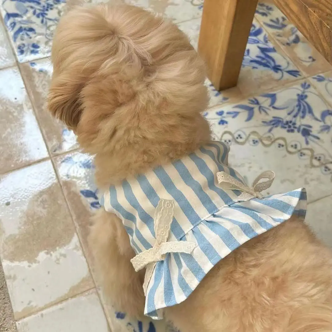 Cute Stripe Dress Dog Clothes Puppy Lace Bow Yellow Blue Skirt Small Dogs Clothing Cat Summer Thin Girl Yorkshire Pet Products