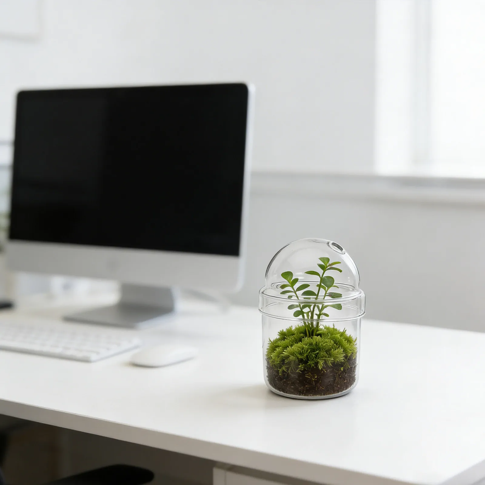 Small Glass Terrarium Jar with Lid Indoor Planter Succulent Plants Decorative Desktop Hydroponic Bottle for Home Kitchen Office