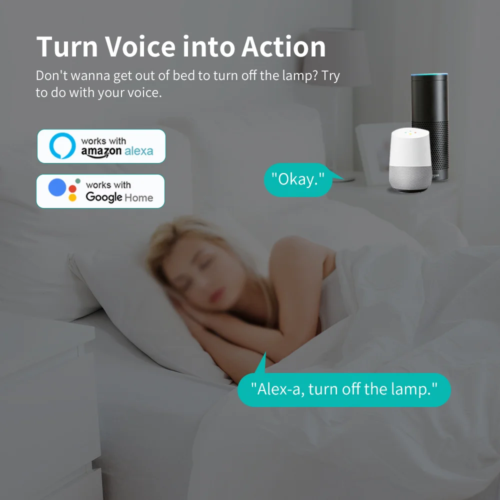 WIFI Smart Micro USB Adaptor Switch 5V Power Adaptor Plug Works with Tuya/Smart Life Alexa Google Home Voice Timing Control