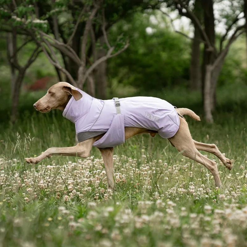 Outdoor Pet Jacket Whippet Adjustable Comfortable Coat High Neck Winter Warm Dog Jackets Waterproof Reflective Dogs Clothes