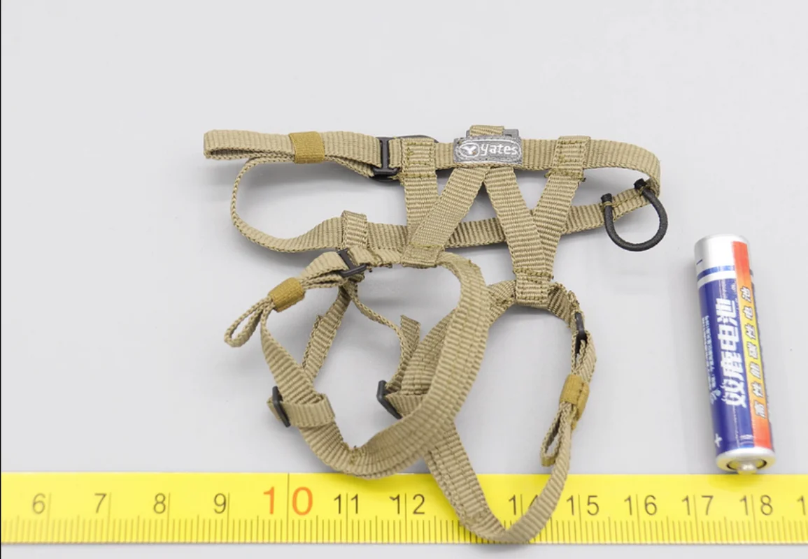 ES 26054C 1/6 Scale CBRN Assault Team Strap Model for 12\'\'Action Figure