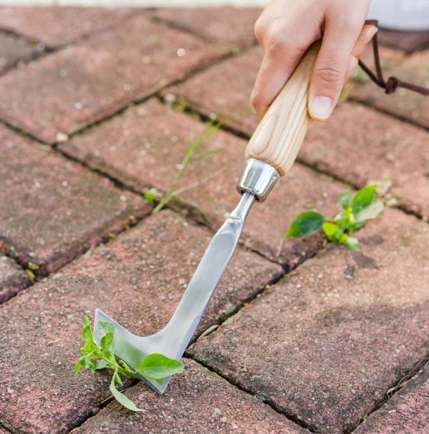 Gardening Forest Stainless Steel Weed Knife Outdoor Weed Cleaning Artifact Wall Brick Crack Special