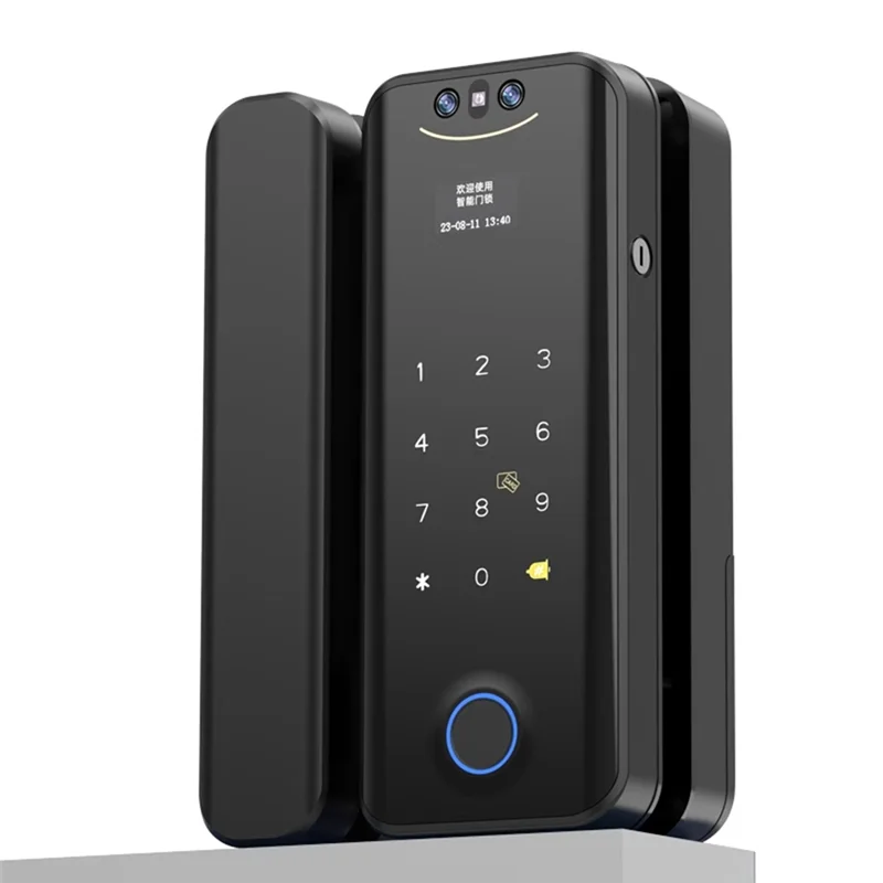 

SQPP-Tuya 3D Smart Locks With WIFI For Glass Door-Camera Fingerprint Face Recognize Card Password Biometric Key App Unlock
