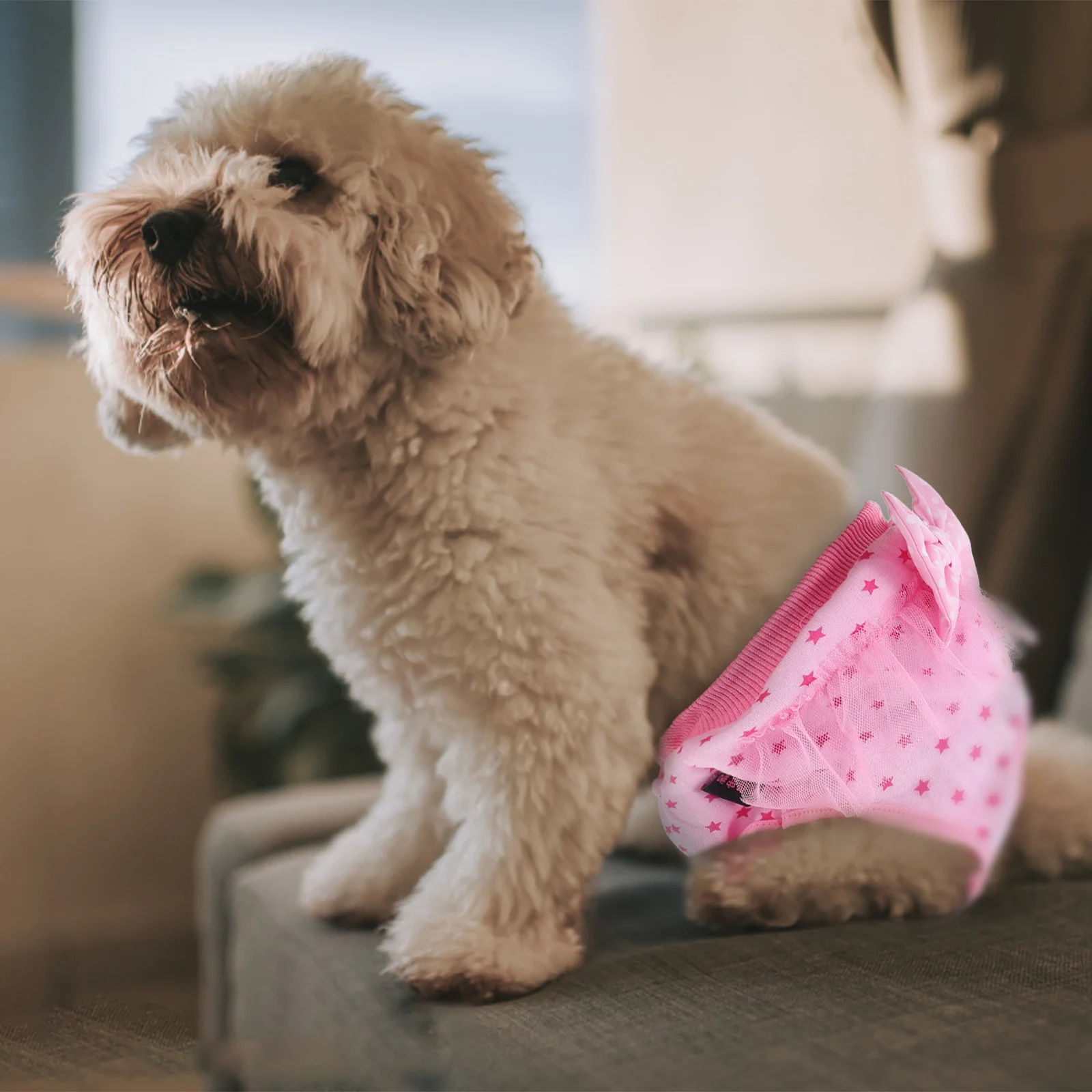 

Dog Sanitary Pants For Female Dogs Soft Cotton Leak Proof Protection Easy On Off Pet Diaper Puppy Diapers Pet Supply