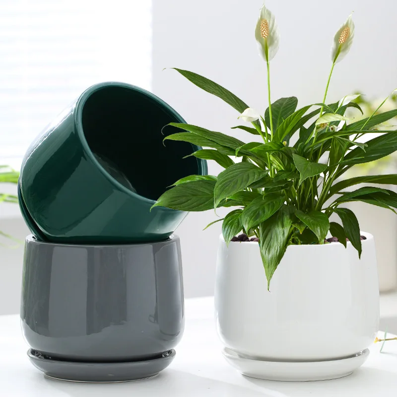 

Creative Large and Extra Large Ceramic Flowerpot for Stunning Plant Displays