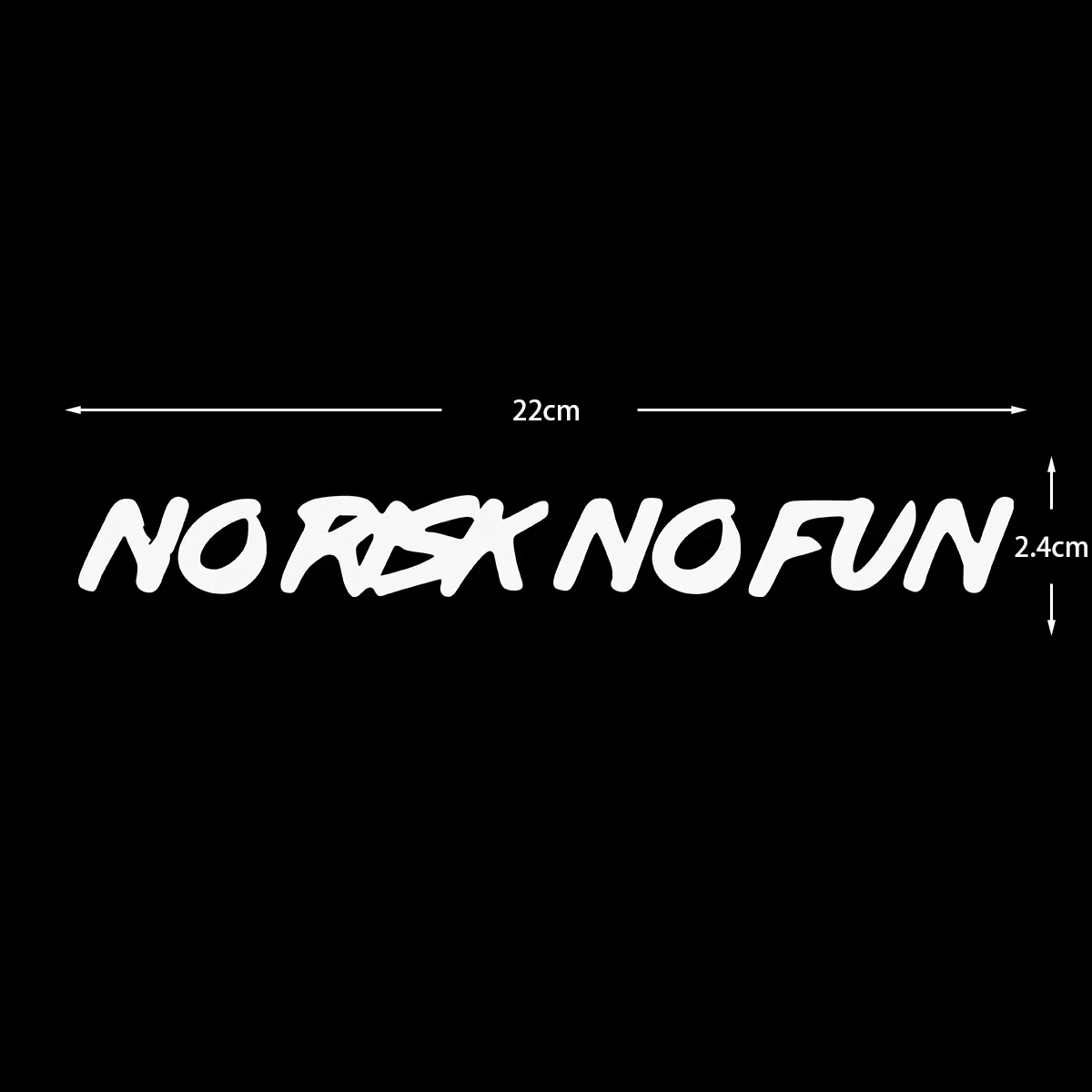 NO RISK NO FUN Waterproof Vinyl Sticker, Decorative Decal for Car Body, Bumper, Window & Windscreen