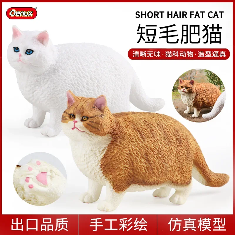 

Children Science and Education Simulation Animal Short Haired Fat Cat Model Toys Educational Toys for Children