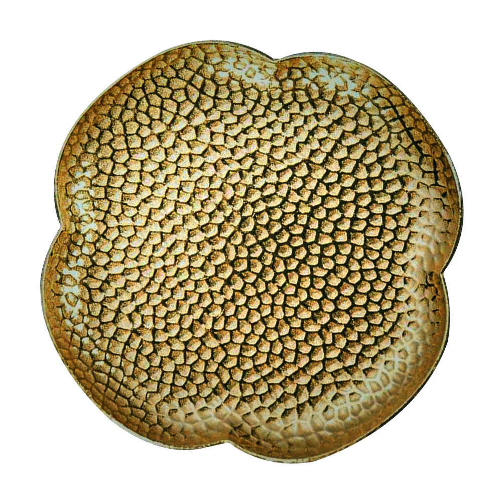 

Copper Coaster Teacup Tray Tea Cup Holder Stand Mat Heat Resistant Table Protection Premium Quality Round Shape Four Leaf Clover