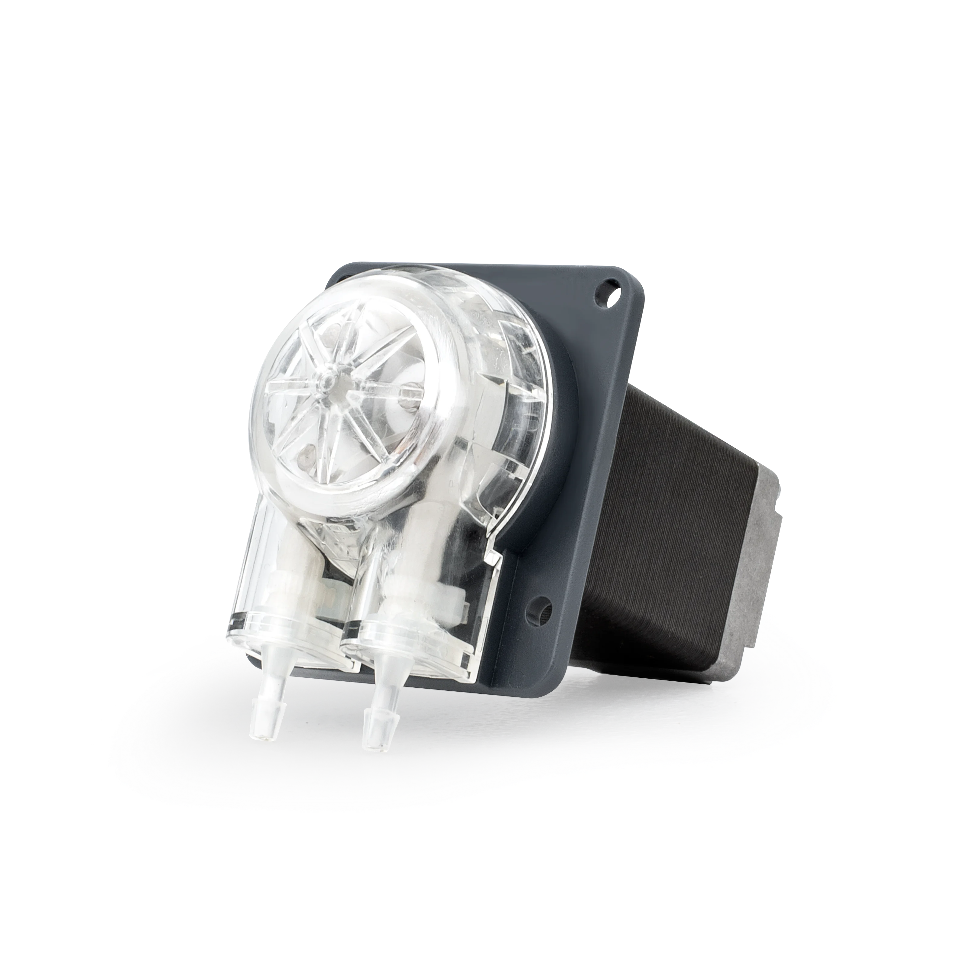 

Long life 24v 120ml stepper motor peristaltic metering pump hydroponic system liquid distribution