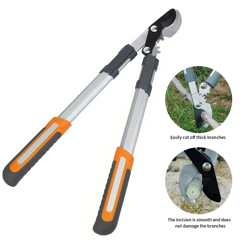 Thumbnail 4 - #63 Pruning Shears Sale