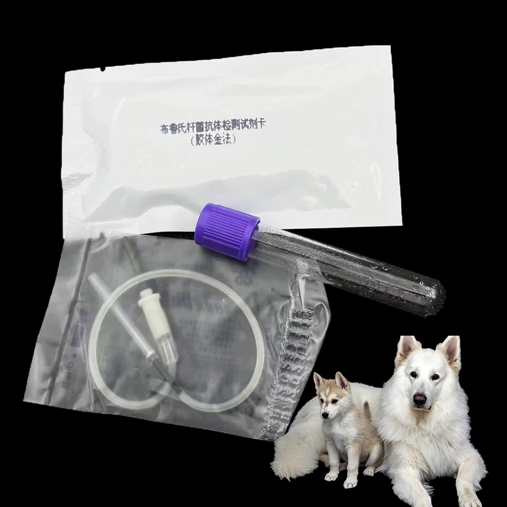 Professional Pet Canine Brucella Serum Testing Card Strip Disposable Rapid Detection Dog Breeding Miscarriage Mating Farm Tools