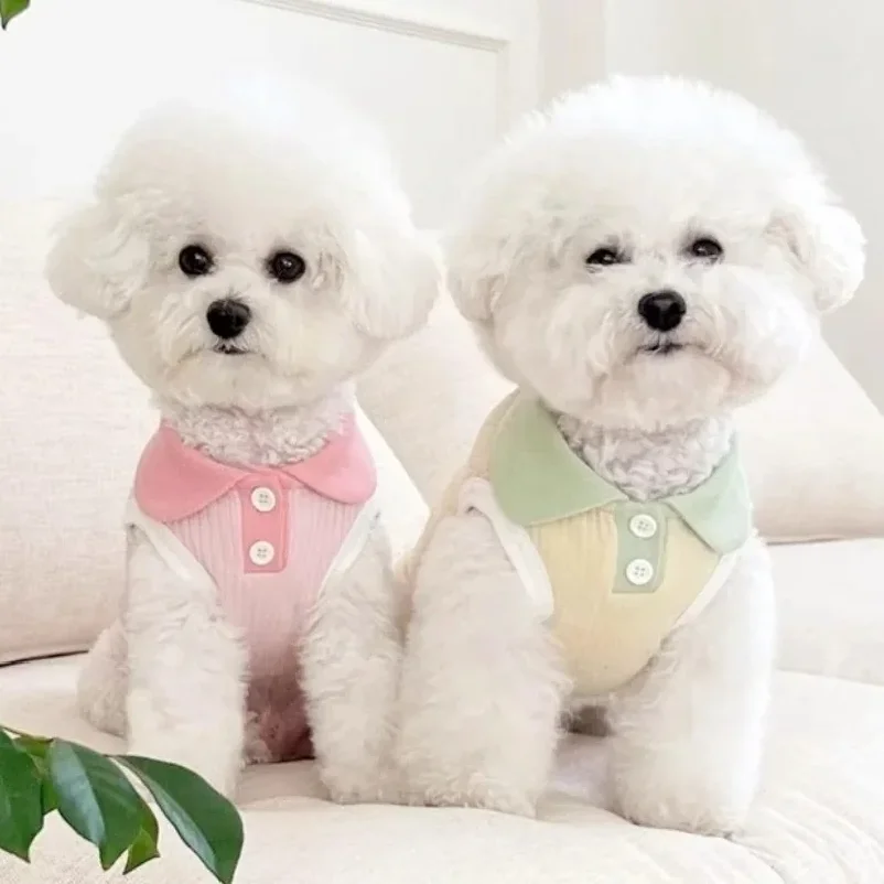 Ropa de Verano para Perros, Ca - Summer Dog Clothing reseña y precio