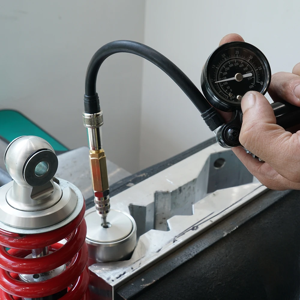 (EU-Lager) Für Harley Street Glide Road Glide Road King /Special Electra Glide Luftstoßdämpferpumpe 300psi Stickstoff-Stoßdämpfer-Nadelkit – Detail 9