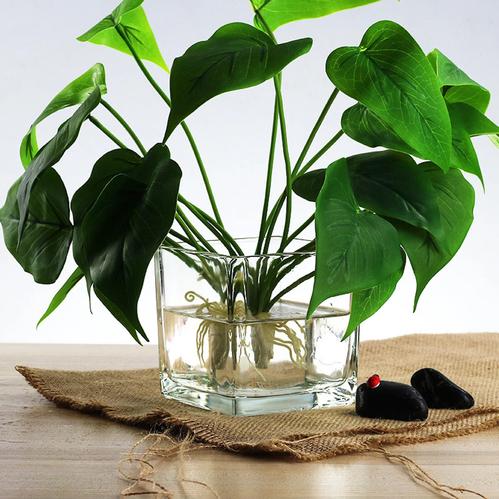 2 قطعة المزهريات الزجاجية المربعة الشفافة أنيقة الحديثة المائية المزارعون للمنزل حديقة طاولة مكتبية الديكور #5