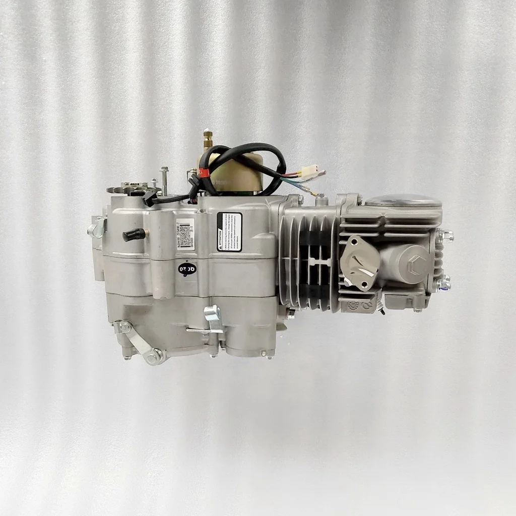 

125cc Engine Zongshen 125CC Oil Cooled Motorcycle Engine for All Motorcycles, W125-G