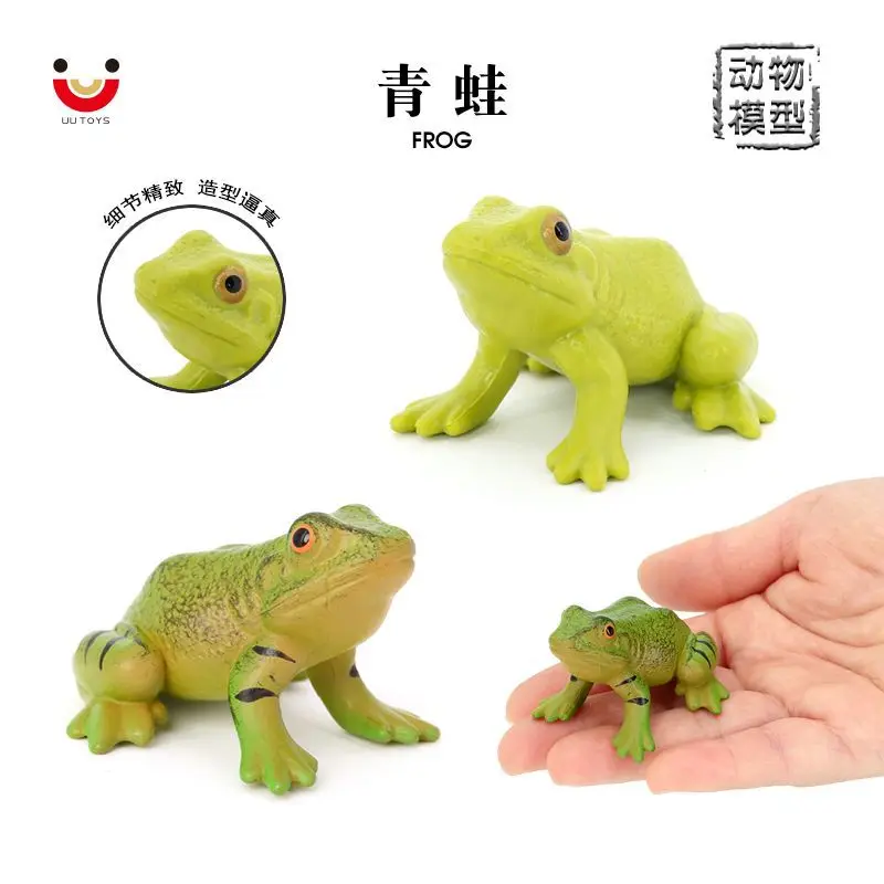 Simulation Solid Frog Amphibian Wildlife Model Rain Frog Tree Frog Children's Cognitive Plastic Toy Model Ornament