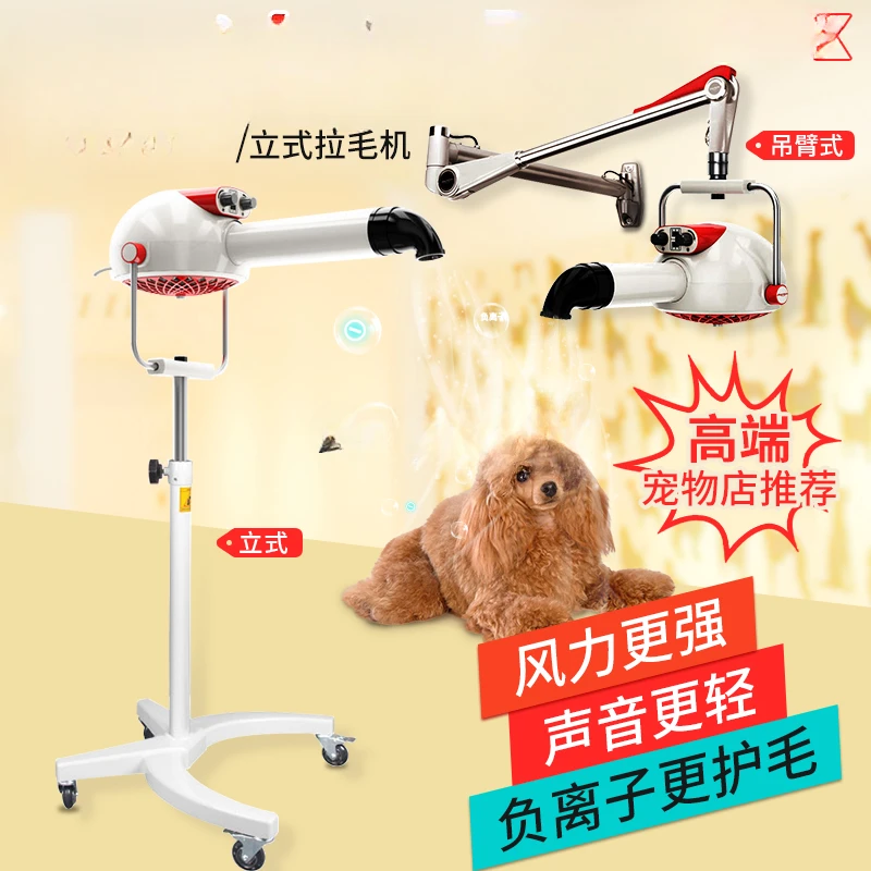 Pet Shop Beauty Vertical Wall Hanging Dog Hair Dryer Pet Special Teddy Anion