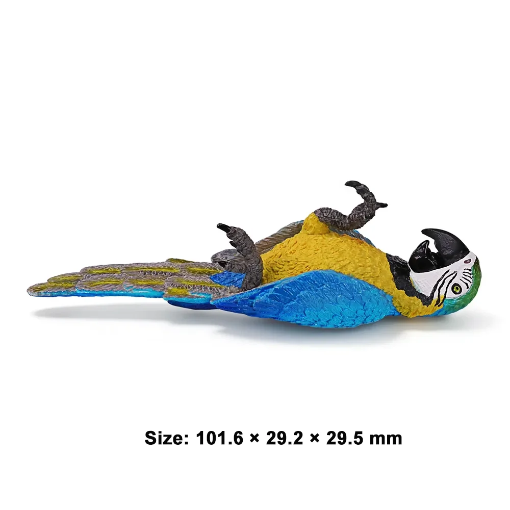 Toymany, modelo de animal de la fauna silvestre, arapaima azul y amarillo, juguete de simulación, miniaturas, muñecas, figuras de acción, juguetes, regalo para niños.