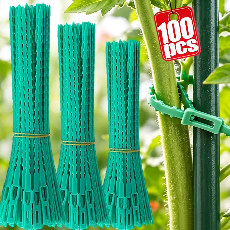 10/100pcs Adjustable Plant Ties Self Locking Tree Support Straps Plastic Garden Fasteners for Young Trees Vines Plants Gardening