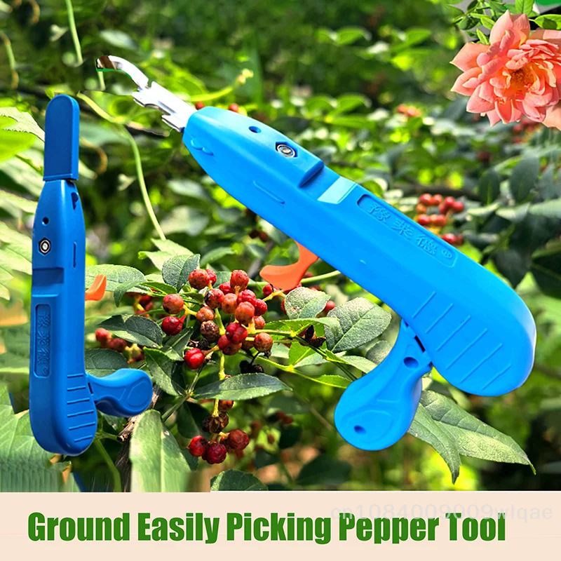 Professional Fruit Picking Knife - Stainless Steel Thumb Pruner for Dates & Peppers, Gardening Harvesting Tool〔YY33〕