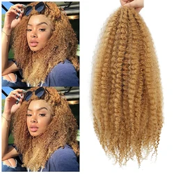 Marley Twist Braiding Hair Crochet Braids Long Afro Kinky Synthetic Fiber For Braiding Hair Extensions