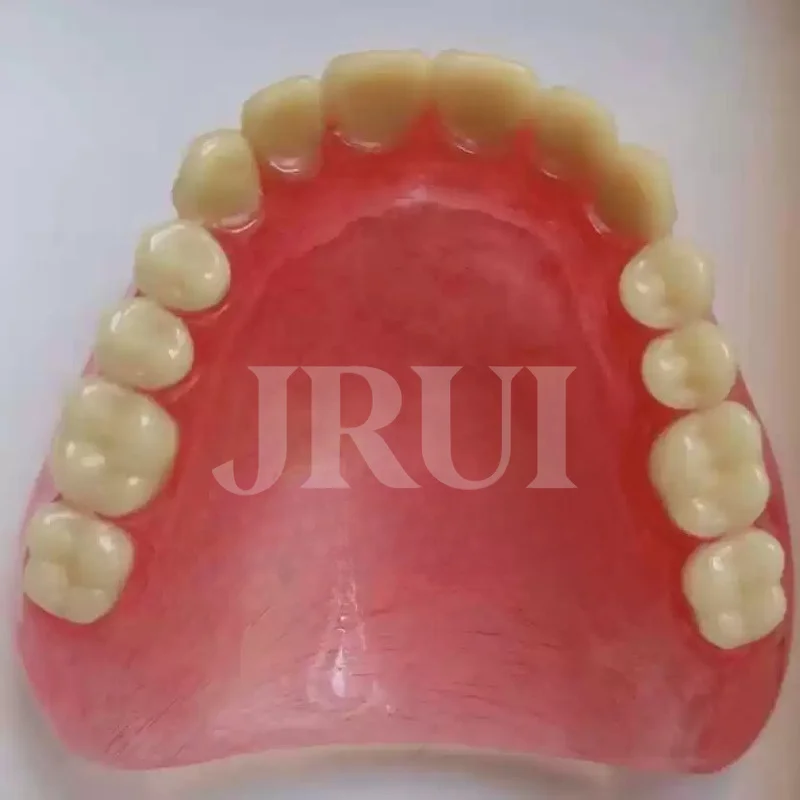 Wholesale Full Mouth Denture Sample Models and Elderly Full Mouth and Half Mouth Tooth Models Are Available