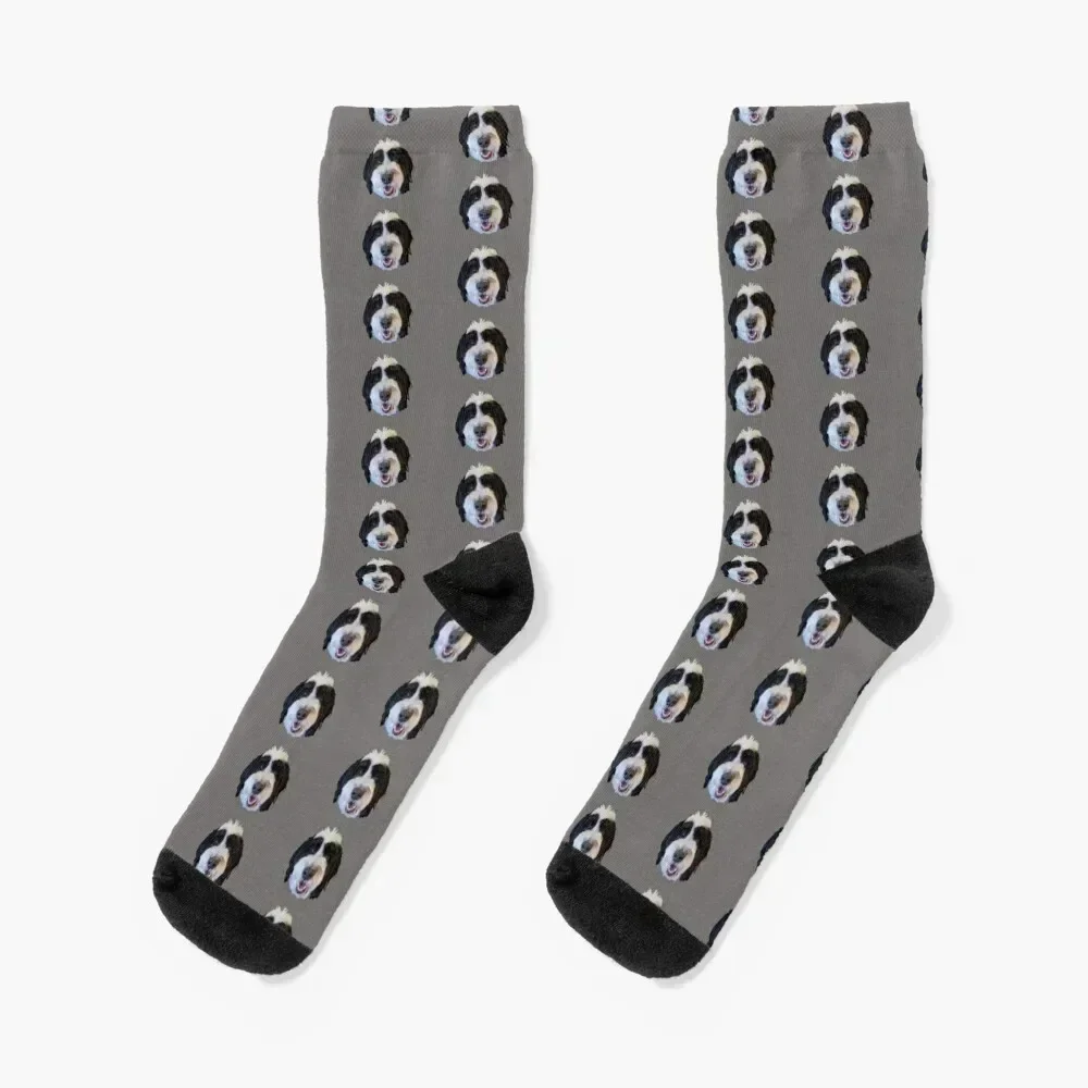 Clark the Bernedoodle Socks hiphop loose sports and leisure Soccer Mens Socks Women's