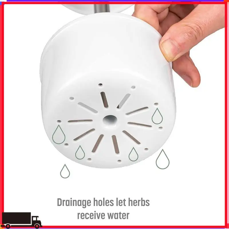 

Premium Vegetable Herb Preservator Herb Coriander Fresh-Keeping Box Breathable Herb Storage Container
