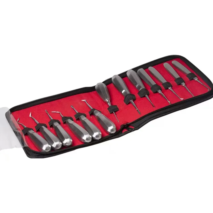 13Pcs Stainless Steel Elevator Loosening Root Extraction Kit Surgical Instrument s
