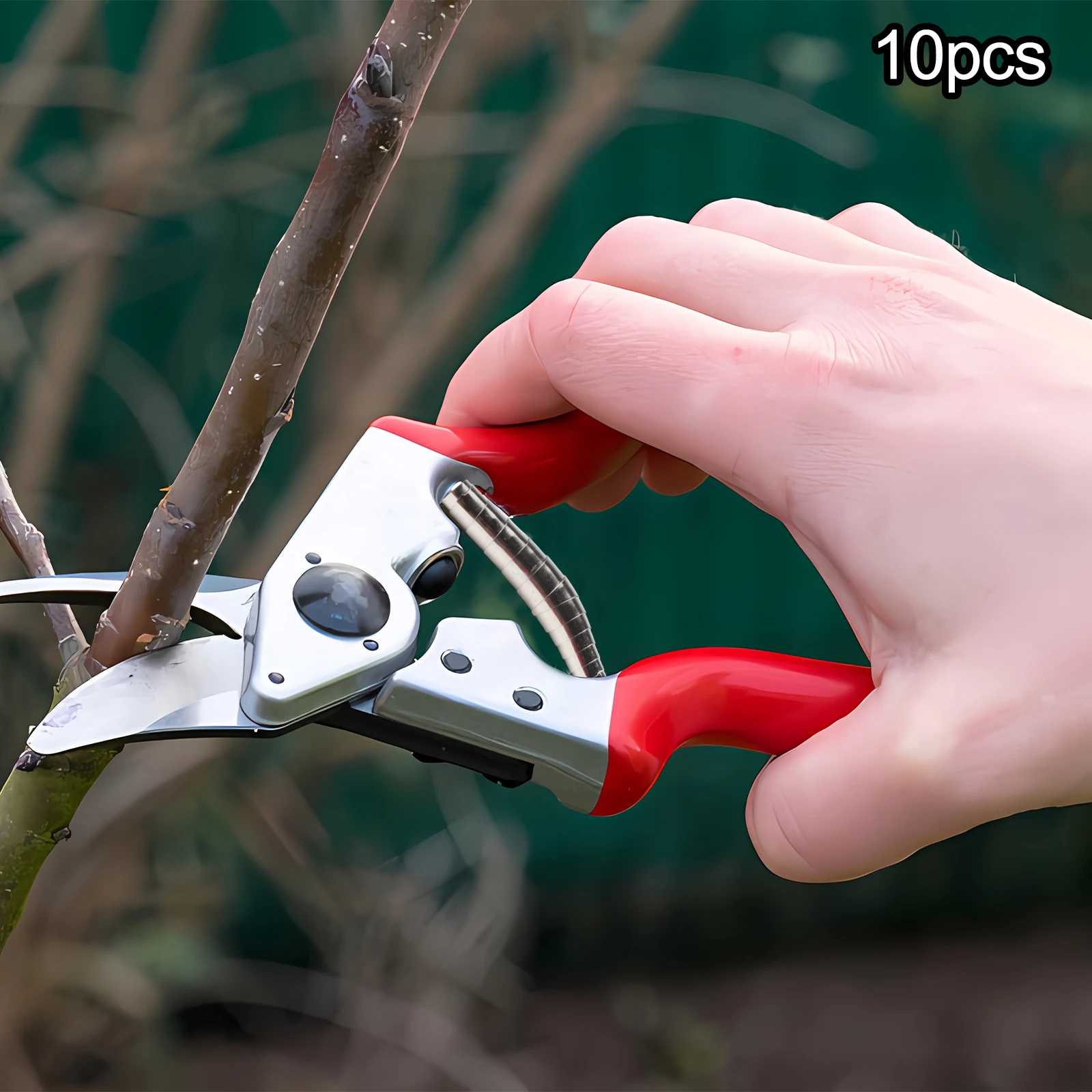 Fruit Branch Iron Sheet Secateurs Keywords Replacement Volute Springs Kitchen Scissors Labor Saving Light Measure