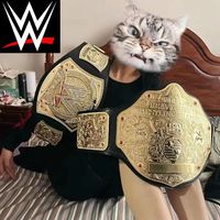 95/125cm Wrestler Championship Gold Belt Action Figure Characters Occupation Wrestling Gladiators Belt Anime Figure Toys Boy