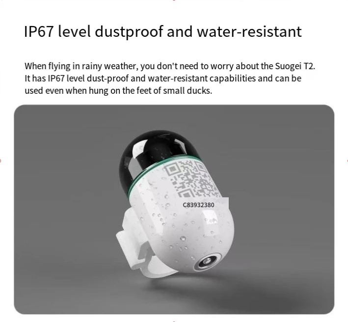 Real-Time GPS Locator for Pigeons and Loros Outdoor Flight Locator Leg Bands and Ring Pigeon Piogeon Bird Positioning