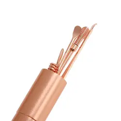 Portable Stainless Steel Earpick Ear Spoon Ear Care Tool Earwax Removal Spiral Ear Pick Set