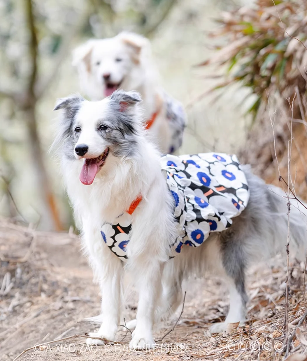 Summer Plaid Breathable Pet Clothes for Medium and Large Dogs, Outdoor Walking Supplies, Puppy Clothes, Designer Clothes