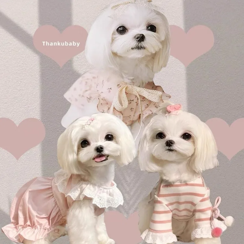 

Pet Dog Clothes Rose Dress for Dogs Clothing Cat Small Lace Lacework Cute Sweet Autumn Pink Girl Chihuahua Pet Products 2023